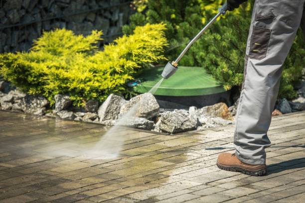Best Dumpster Area Cleaning  in Victoria, VA