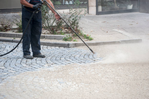 Best Gutter Cleaning  in Victoria, VA